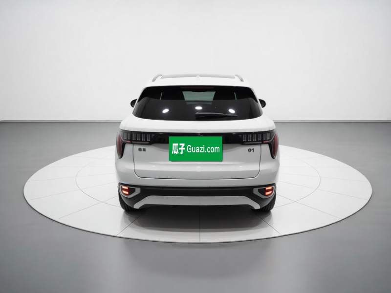 Used Lynk & Co 01 2017 2.0T Two-Wheel Drive Pro Edition — 14