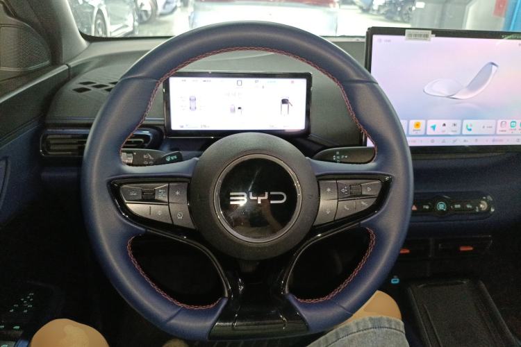 Used BYD Seagull 2025 Smart Drive Version 305 km Freedom Edition