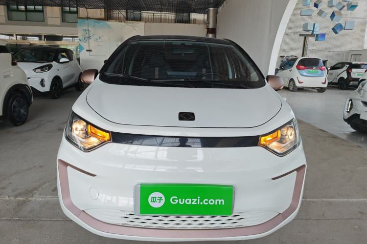 Used SOL E10X 2022 Flower Fairy Design Sunflower