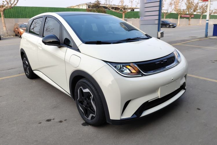 Used BYD Dolphin 2021 405 km Fashion Edition
