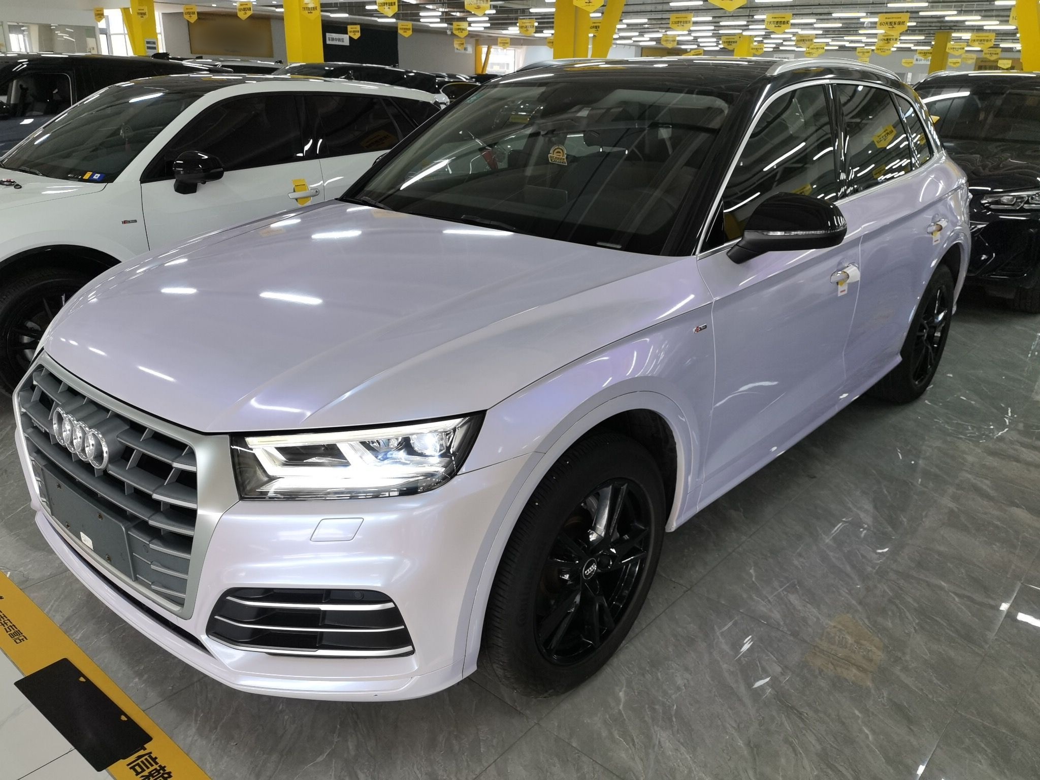 Parte inferior delantera