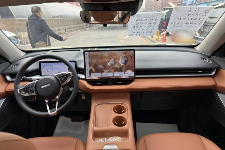 Used Haval H6 2024 2.0T All-Wheel Drive Max
