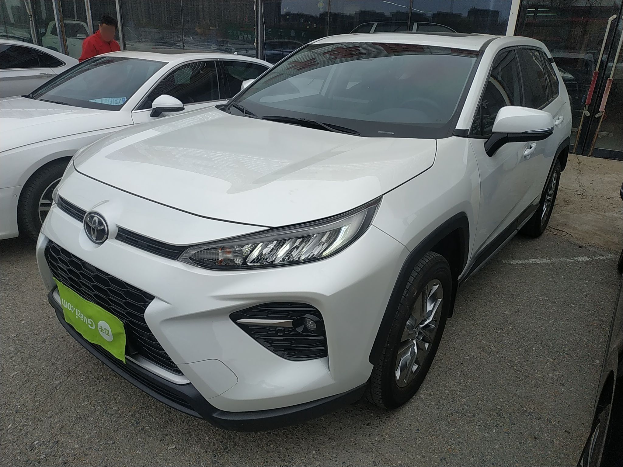 Parte inferior delantera