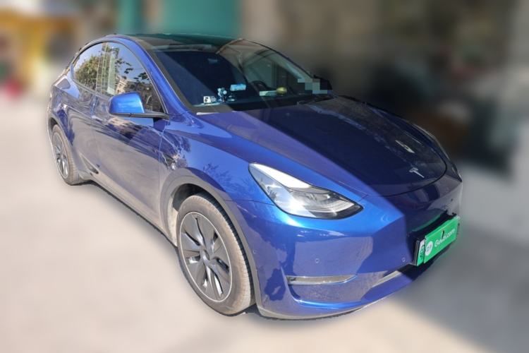 Used Tesla Model Y 2021 Standard Range Rear-Wheel Drive Version
