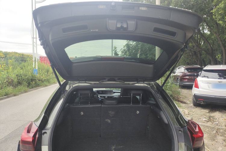 Used Lexus UX New Energy 2020 300e Pure·Joy Edition Trunk