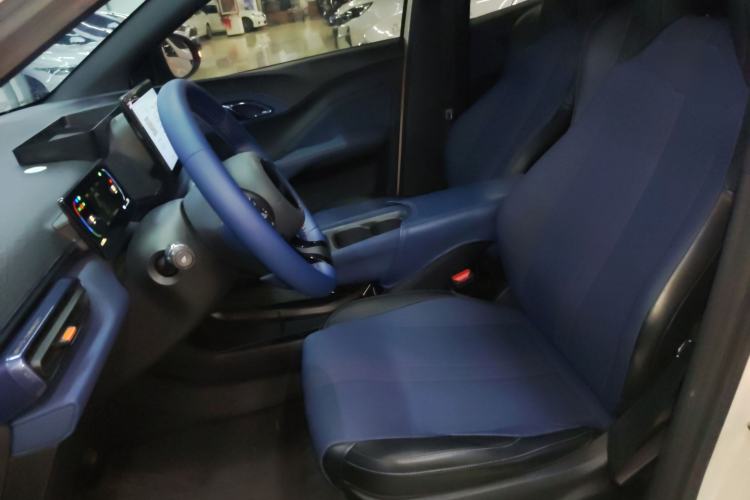 Used BYD Seagull 2023 Free Edition Left Front Seat