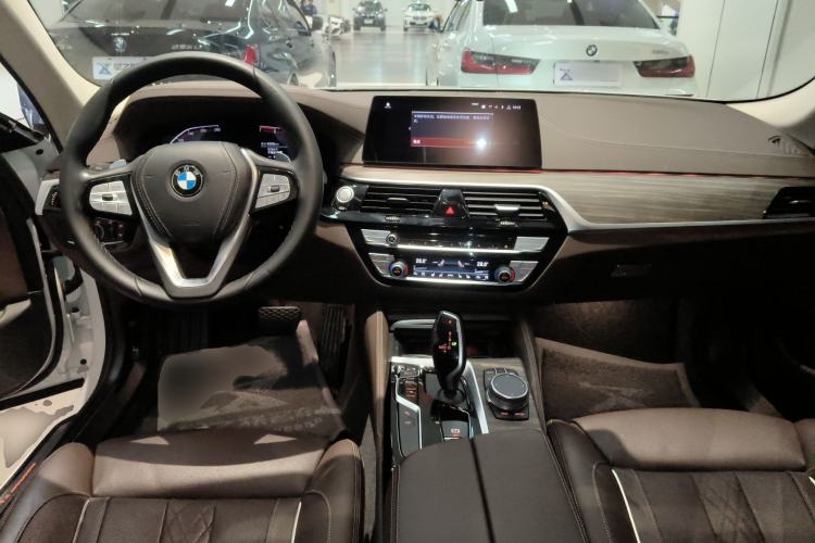 Used BMW 5 Series 2020 530Li Luxury Edition Premium Package
