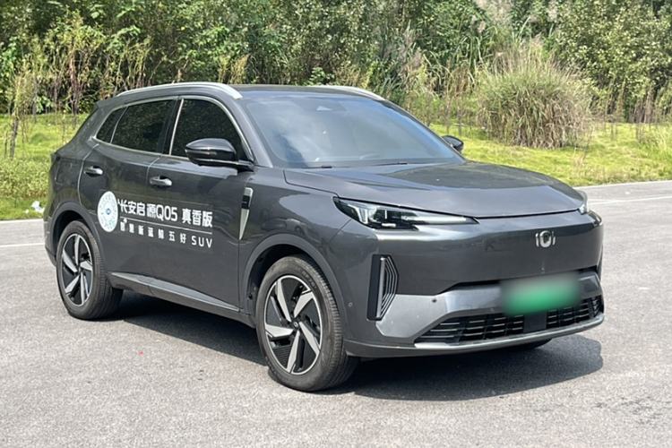 Used Qiyuan Q05 2023 125 Max
