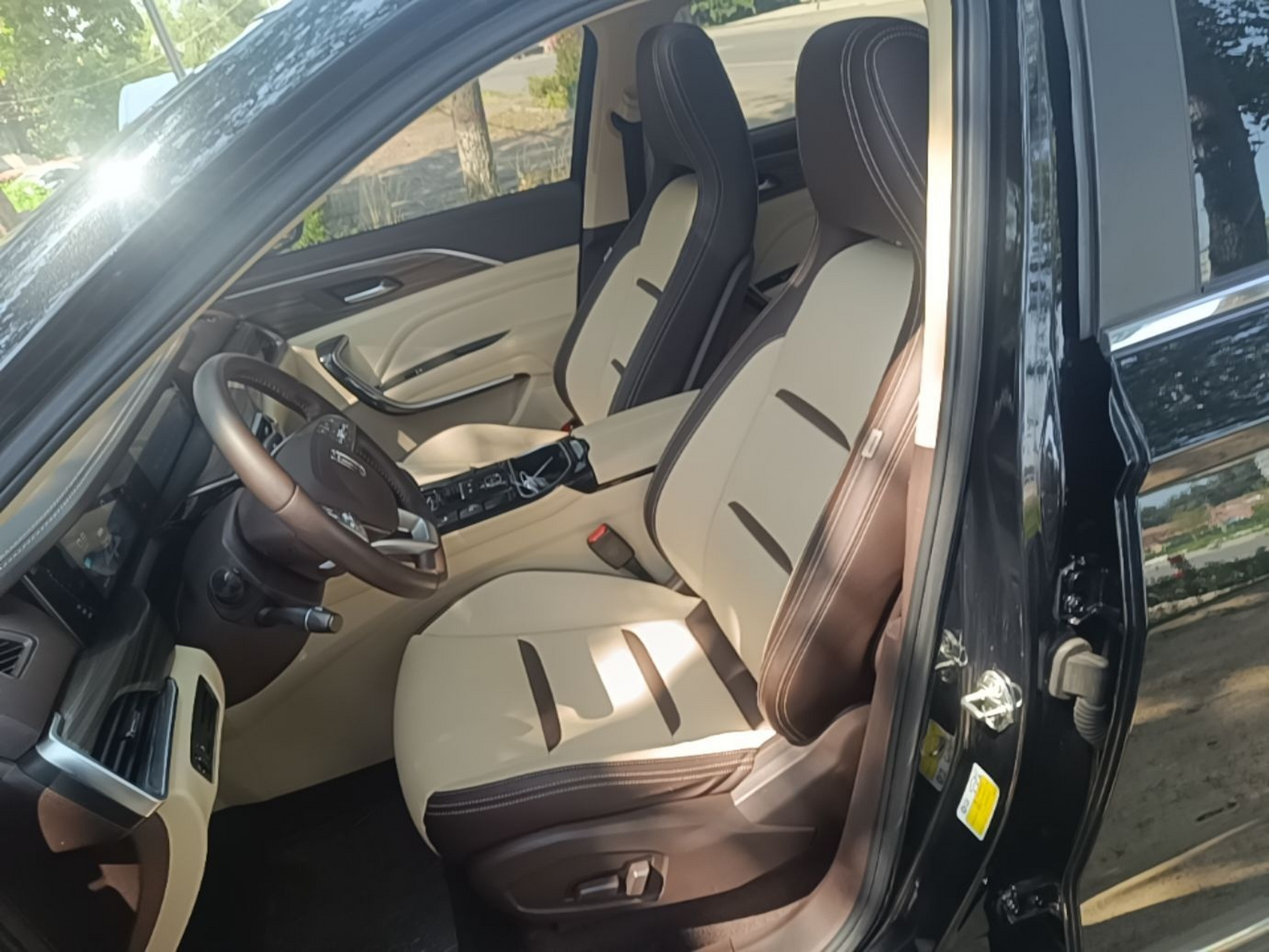 Interior delantero