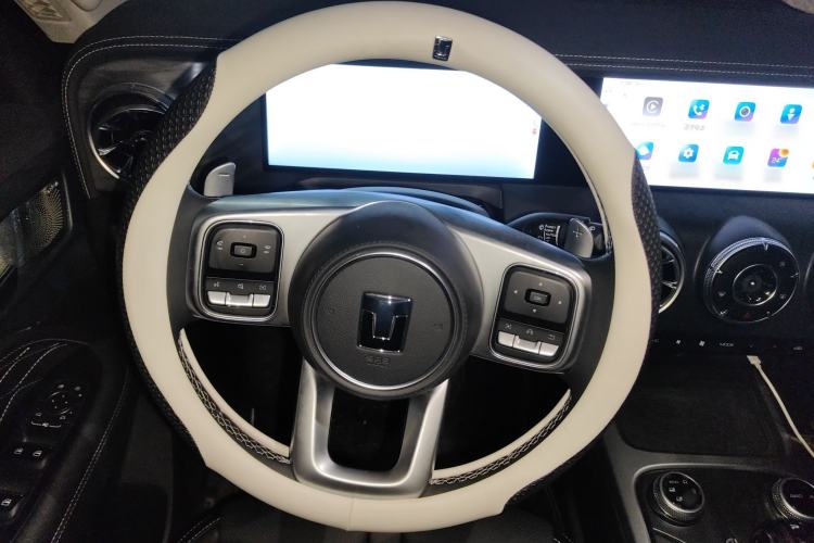 Used Tank 300 2024 2.0T Crosser
