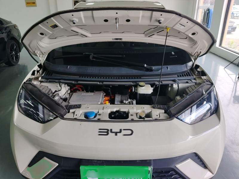 Used BYD Seagull 2025 305km Active Version — 19