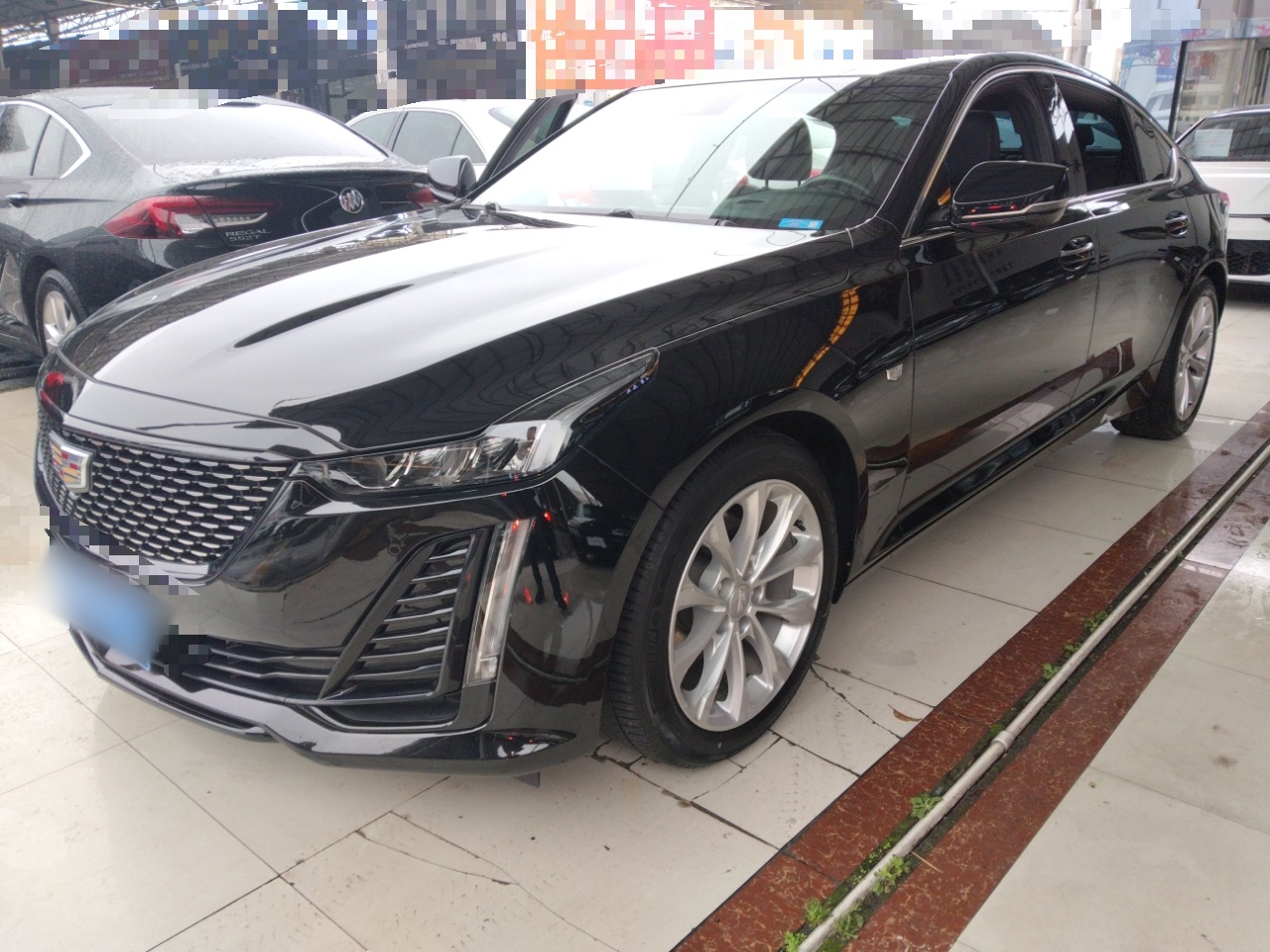 Parte inferior delantera