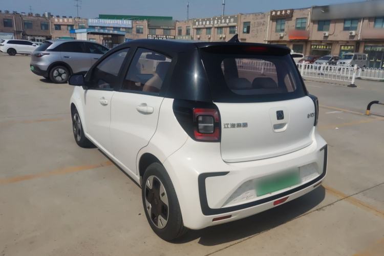 Used SOL E10X 2022 Flower Fairy Design Four-Leaf Clover