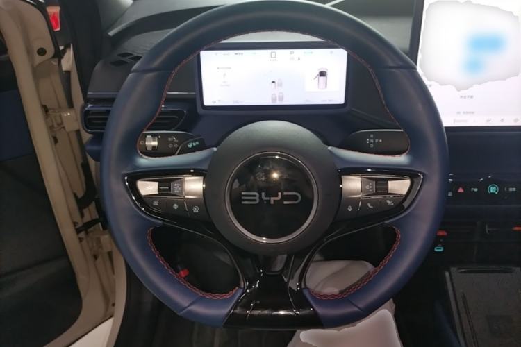 Used BYD Seagull 2025 Smart Drive Version 305 km Freedom Edition
