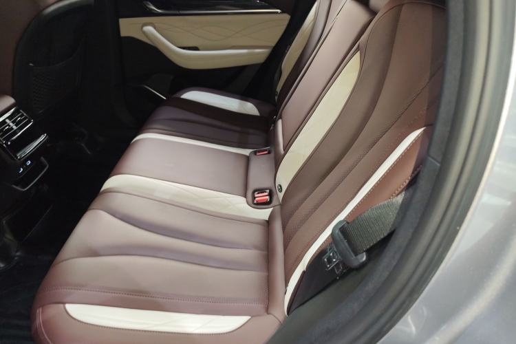 Used Geely Auto Monjaro L 2021 2.0TD DCT EVO Two-Wheel Drive Prestige Version Left Rear Seat