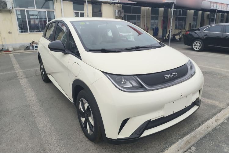 Used BYD Dolphin 2025 420km Free Edition
