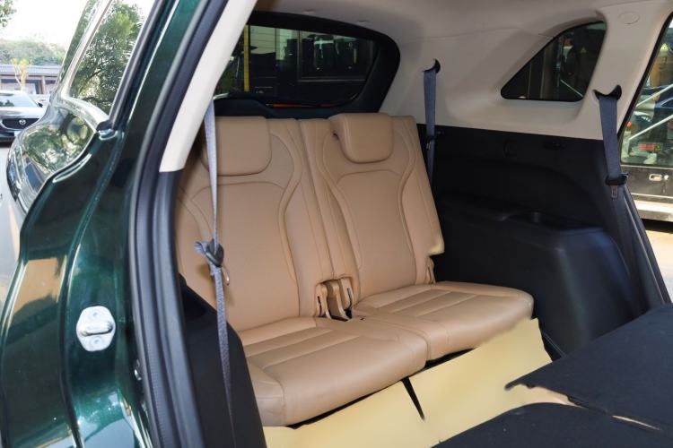 Used Landian E5 PLUS 2025 165 km Long-Range Travel Custom Edition 7 Seats
