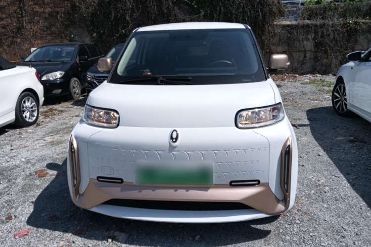 Used ORA White Cat 2022 Xiaoyue Mao Edition 360 km Luxury Model Lithium NMC
