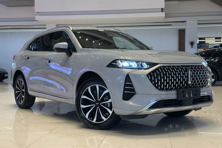 Used Wey Mocha 2021 2.0T Two-Wheel-Drive Premium Edition