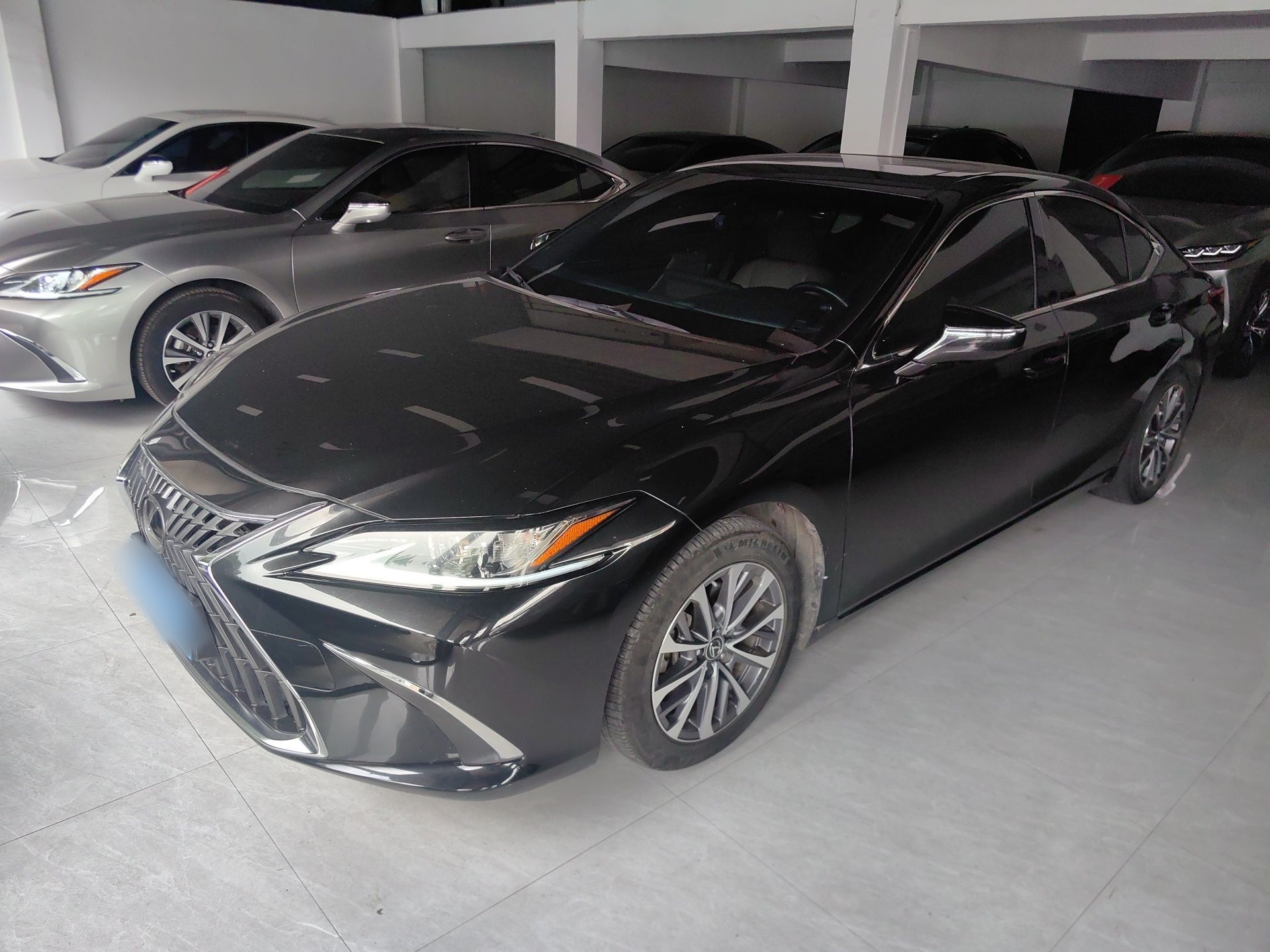 Parte inferior delantera