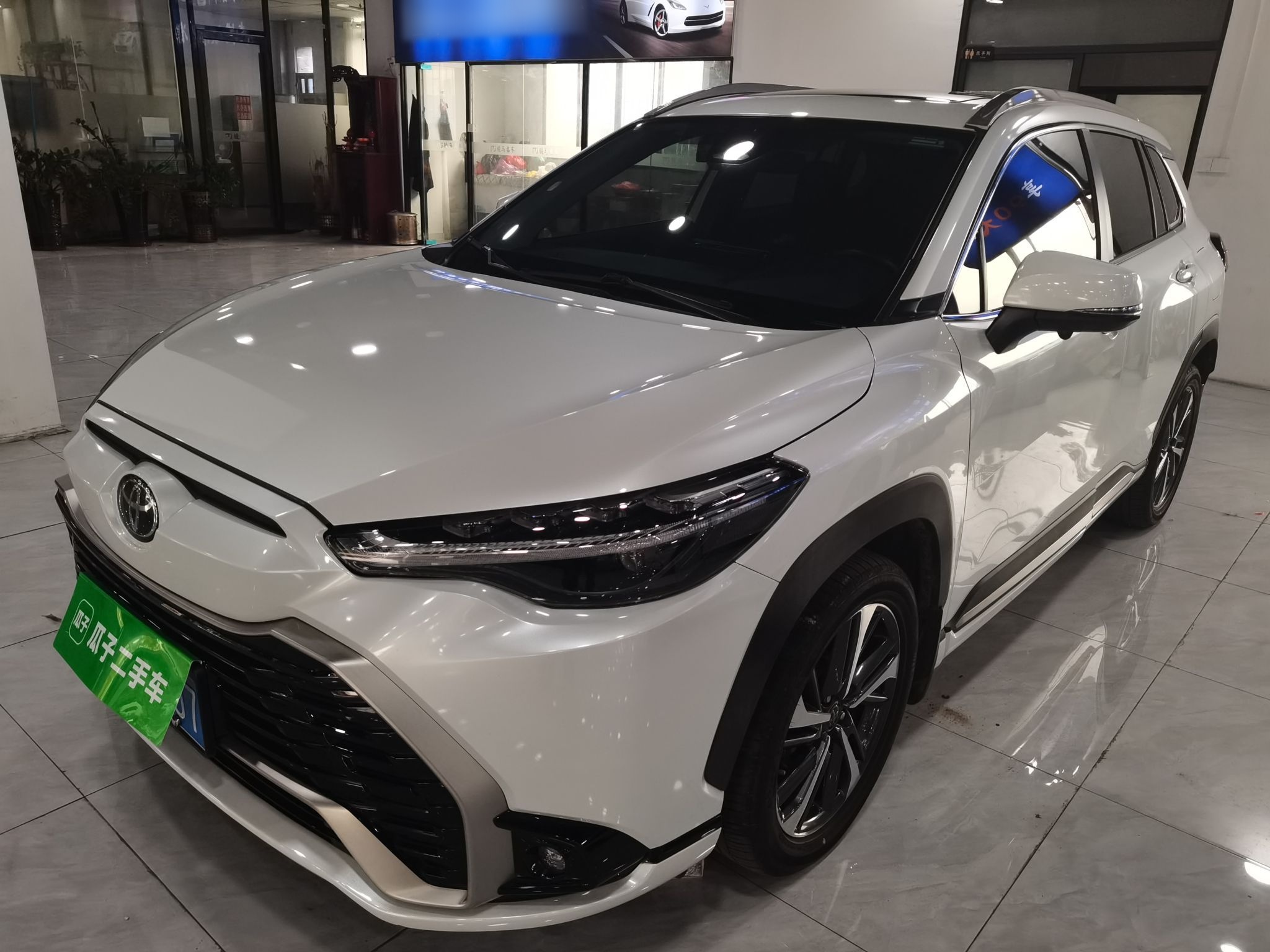 تحت مقدمة السيارة