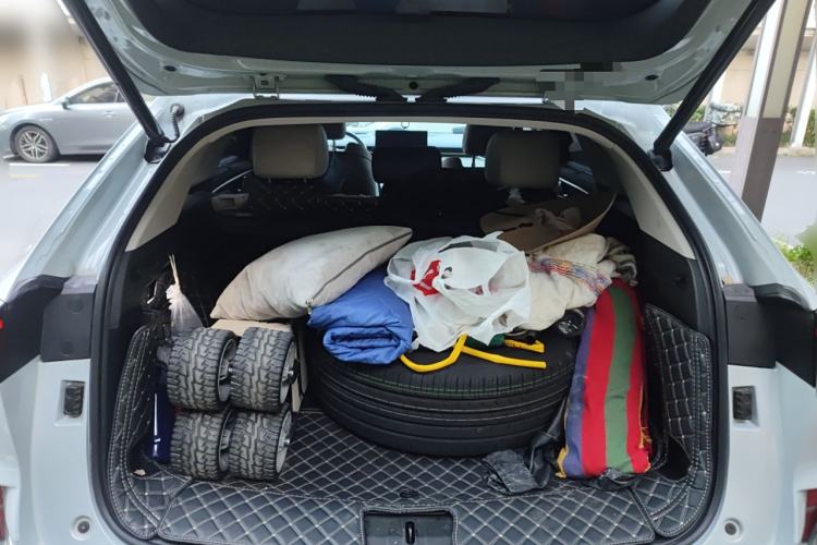 Used Wey Mocha 2021 2.0T Four-Wheel Drive Premium Edition