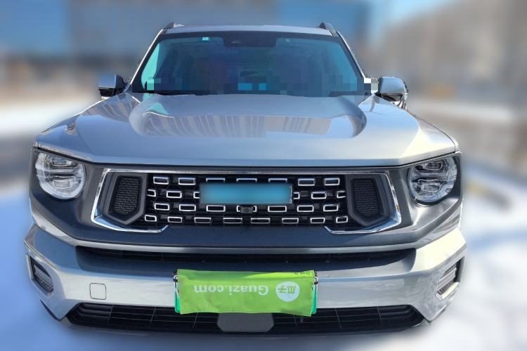 Used Haval H Dog New Energy 2023 DHT-PHEV 105km Trend Electric Edition
