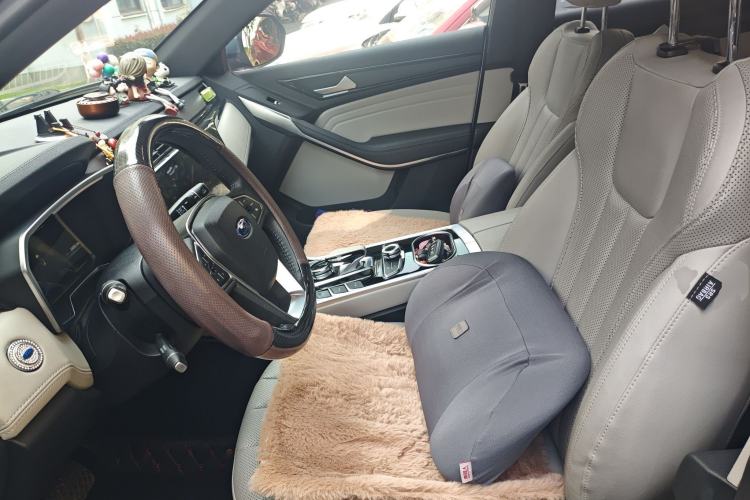 Used Ford Territory EV 2020 YAO LING Model