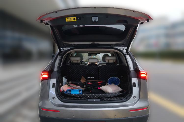 Used Haval H6 2024 2.0T Two-Wheel Drive Max
