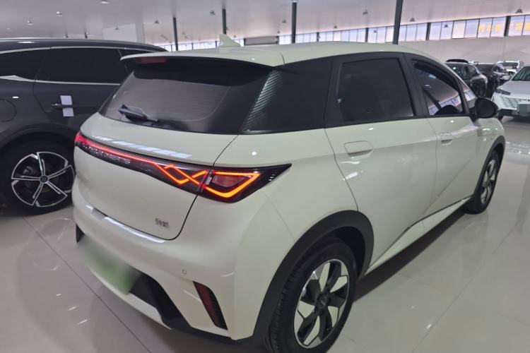 Used BYD Dolphin 2025 420km Free Edition Rear Right 45 Deg
