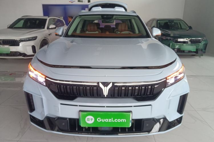 Used VOYAH FREE 2024 Ultra-Long Range Intelligent Driving Version
