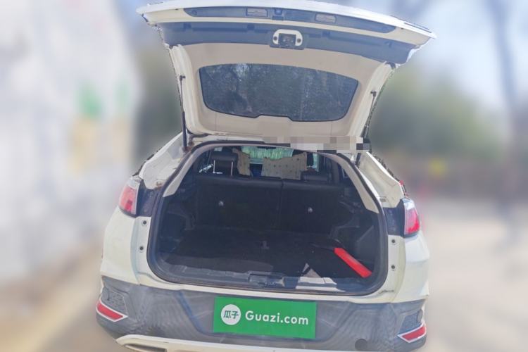 Used Venucia T90 2018 2.0L CVT Smart Connect Luxury Edition China V Standard