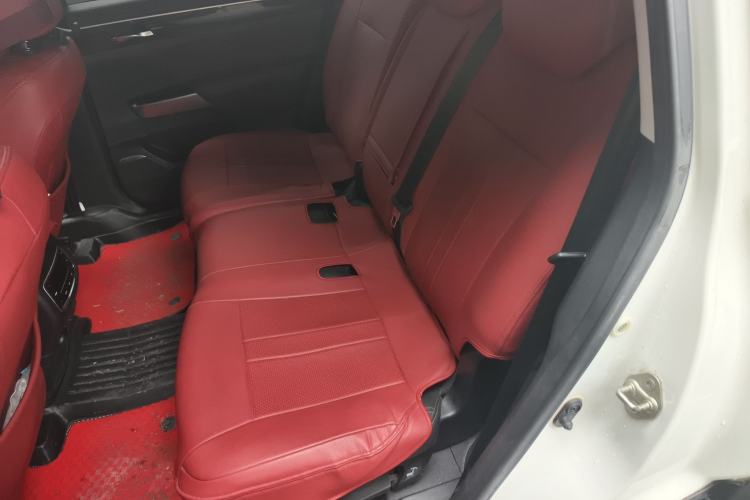 Used GAC Trumpchi GS8 2017 320T Two-Wheel Drive Luxury Smart Connectivity Version (7 Seats) Left Rear Seat