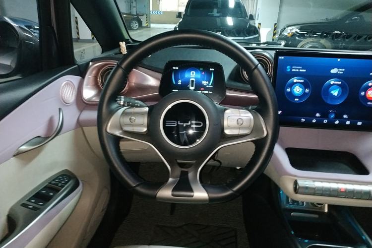 Used BYD Dolphin 2023 420 km Free Version Steering Wheel
