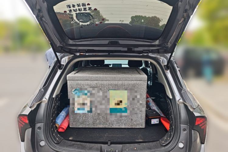 Used NETA V 2021 Standard Range Entertainment Version – Upgraded Model
