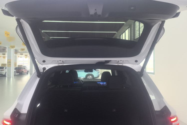 Used Geely Auto Monjaro L 2024 2.0TD High-Power Automatic Two-Wheel Drive Skyline Edition
