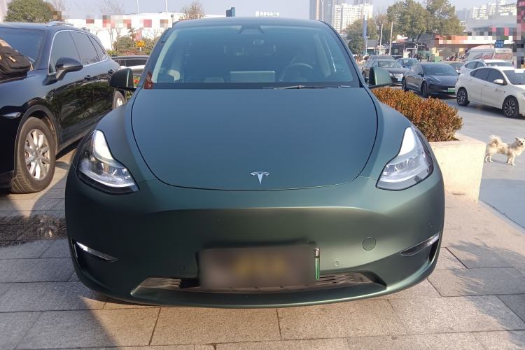 Used Tesla Model Y 2021 Performance High-Performance All-Wheel-Drive Version
