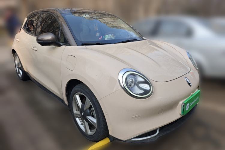 Used ORA Good Cat 2021 400km Standard Range Athena Edition Lithium-Ion Battery
