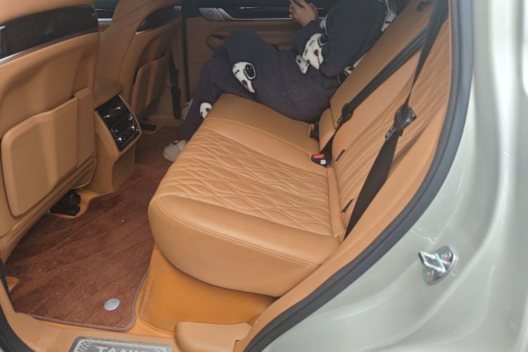 Used Tank 500 New Energy 2024 Hi4-T Left Rear Seat