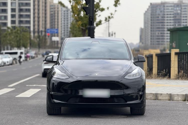 Used Tesla Model Y 2021 Standard Range Rear-Wheel Drive Version
