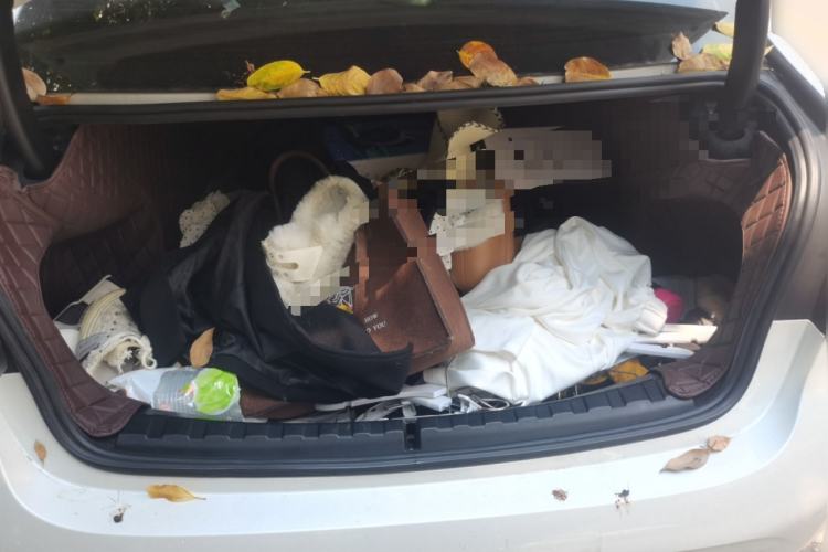 Used BMW 3 Series 2023 325Li M Sport Package Trunk