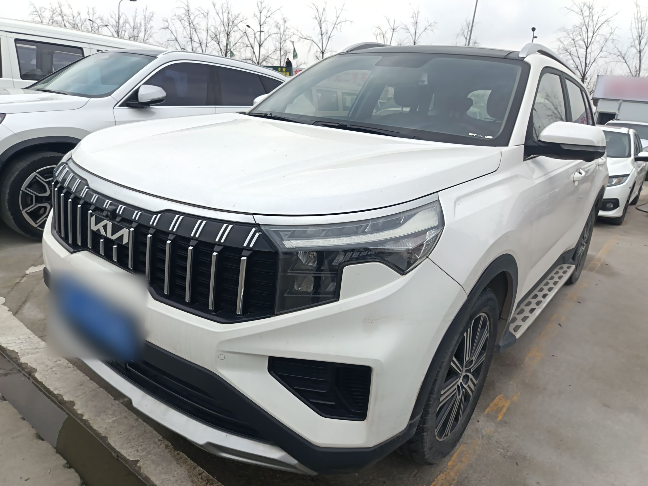 Parte inferior delantera