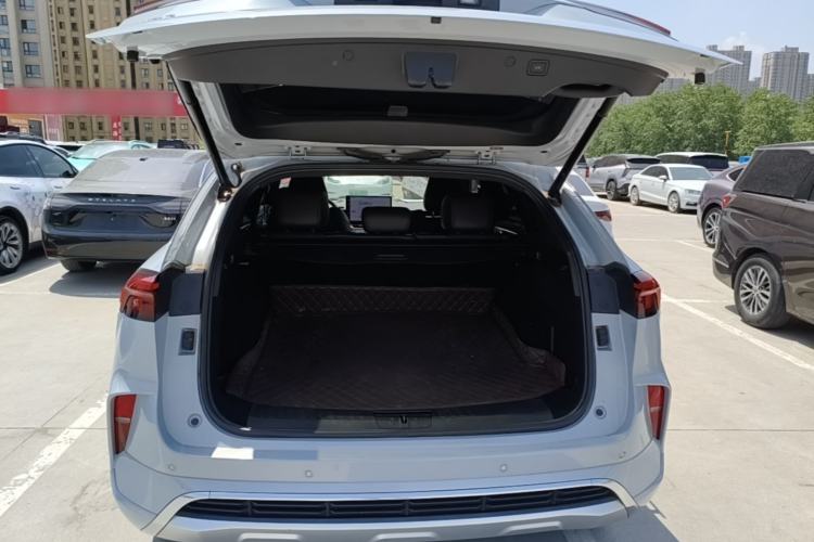 Used Wey Mocha 2021 2.0T Four-Wheel Drive Premium Edition