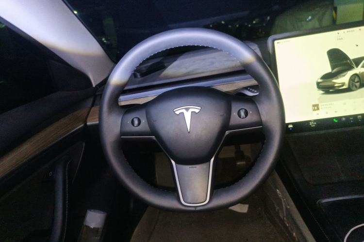 Used Tesla Model 3 2022 Rear-Wheel-Drive Version
