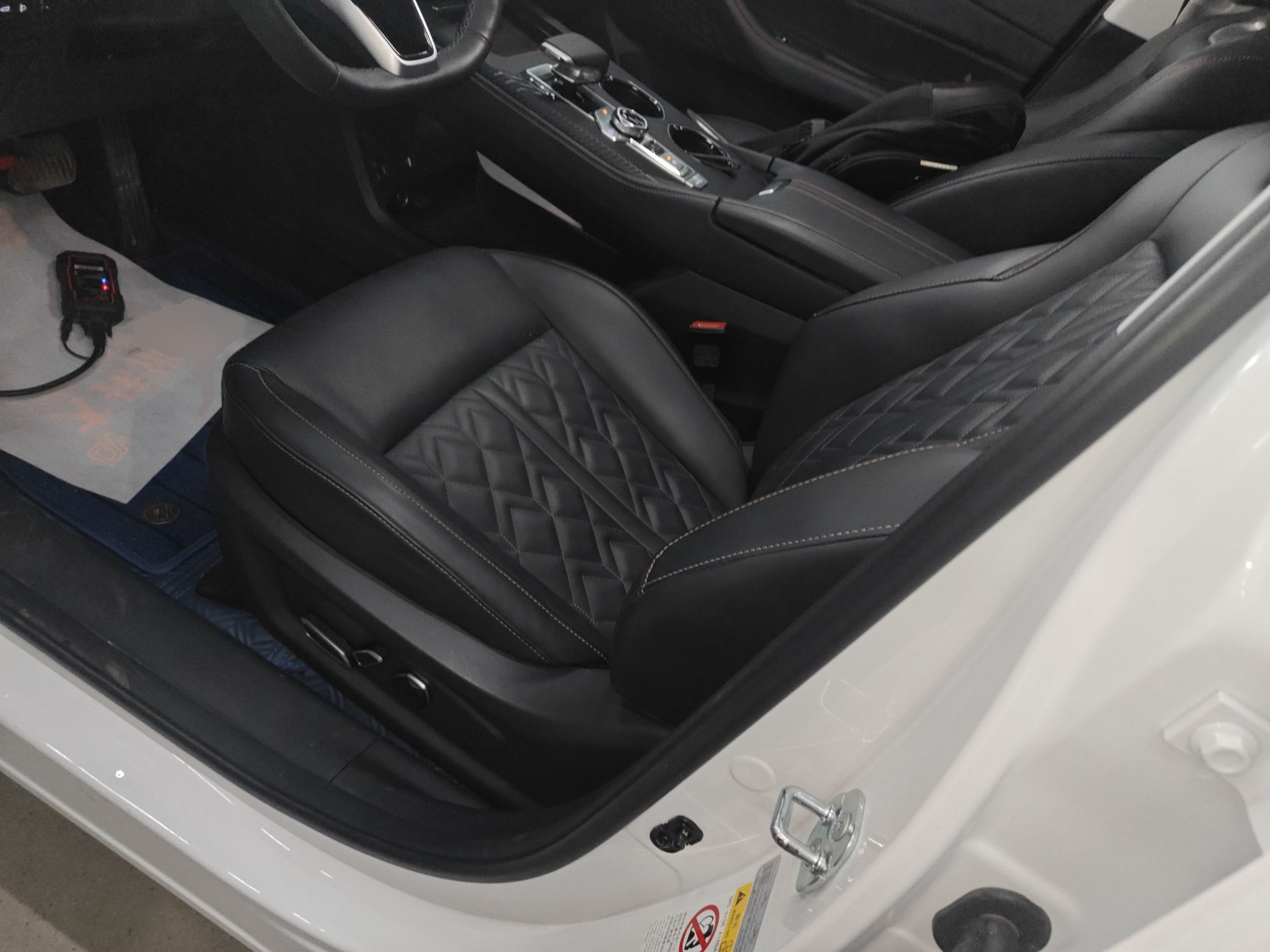 Interior delantero