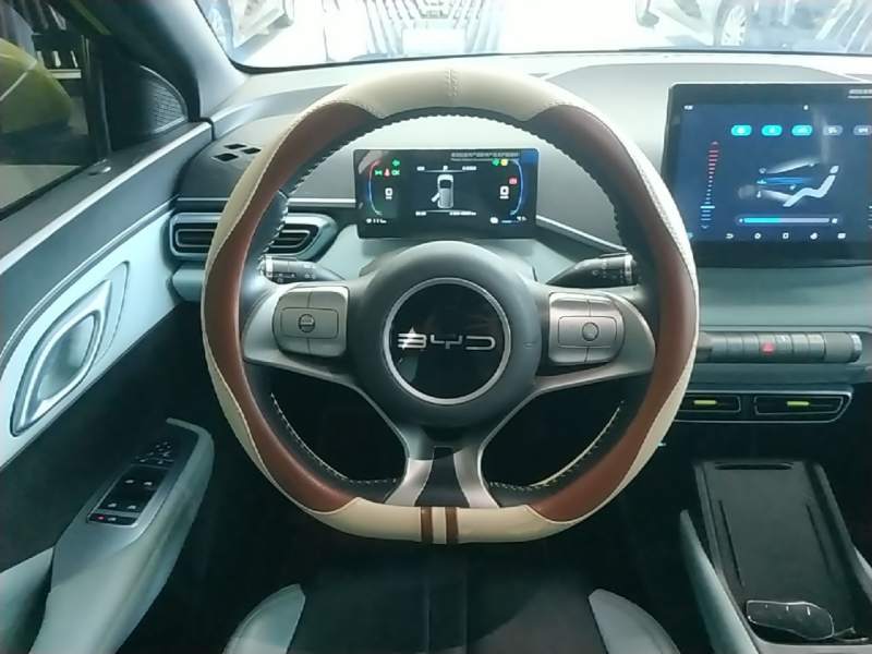 Used BYD Seagull 2023 Free Edition — 10