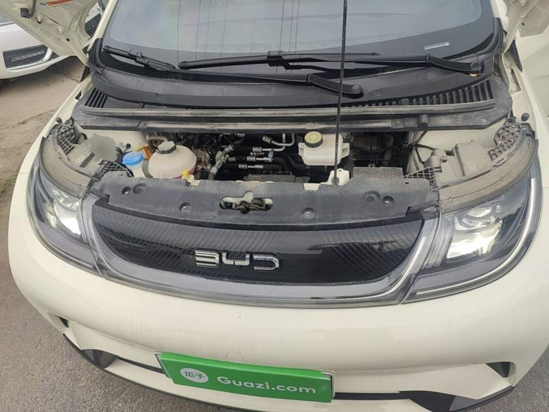 Used BYD Dolphin 2024 Honor Edition 302km Dynamic Version — 19