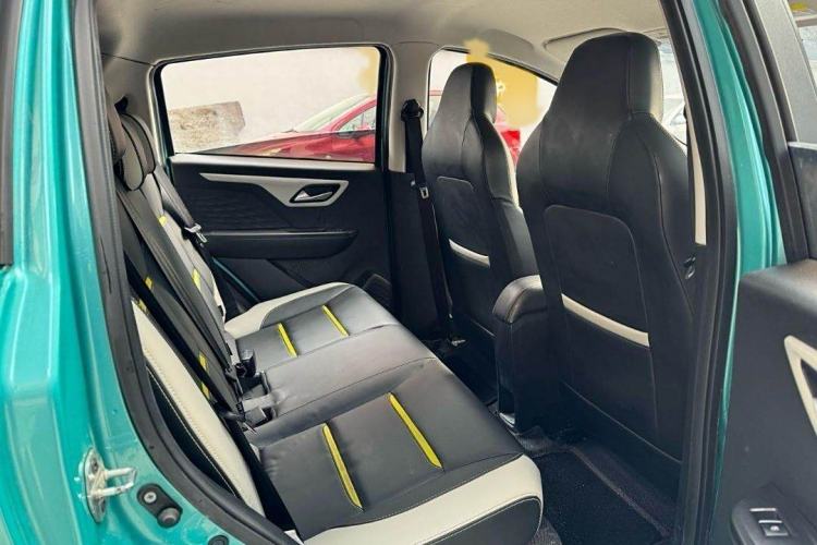 Used SOL E10X 2022 Flower Fairy Design Four-Leaf Clover