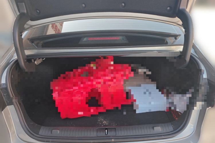 Used Chery Arrizo 8 2025 1.6T DCT Rui
