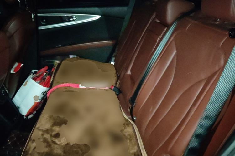 Used Lincoln MKX 2015 2.0T Four-Wheel Drive Luxury Edition